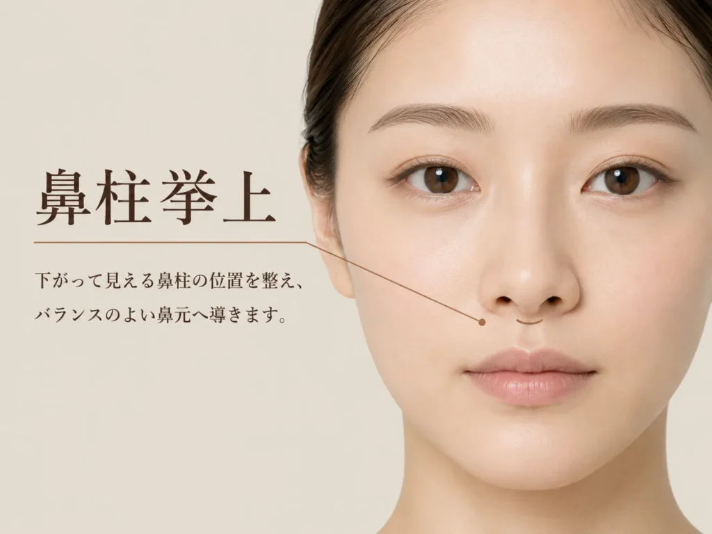 鼻柱挙上の施術イメージ画像ｂ