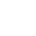 体