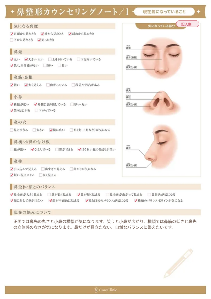 鼻整形カウンセリングノート_記入例_1　気になっている部位お悩み